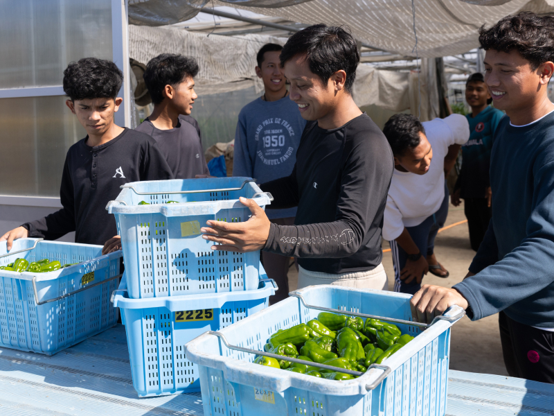 作業をする従業員写真