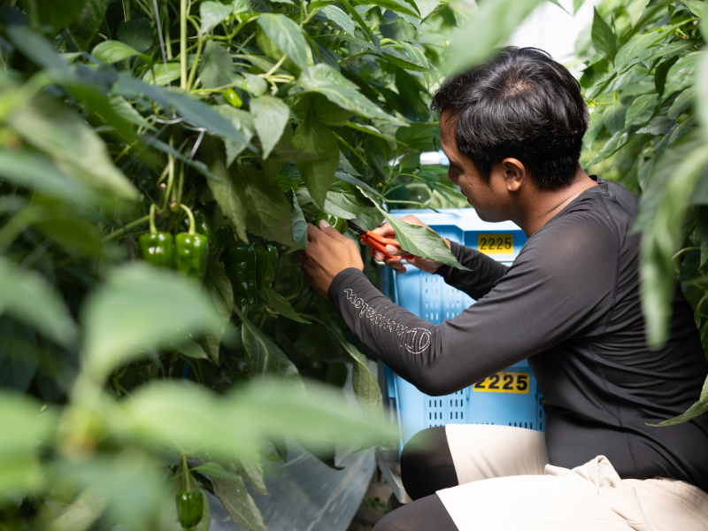 作業をする従業員写真