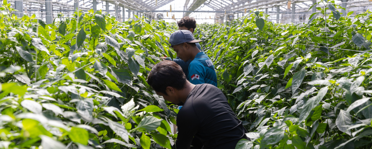 作業をする従業員写真