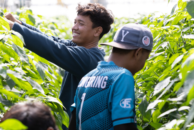 作業をする従業員