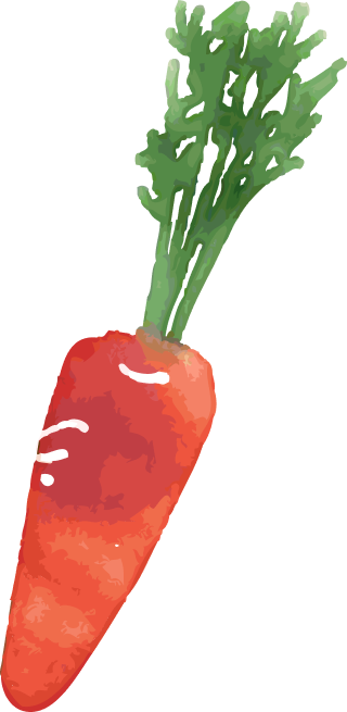 ニンジンイラスト