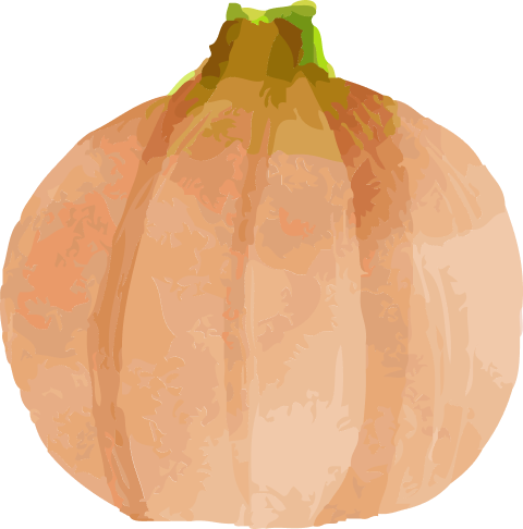 タマネギイラスト
